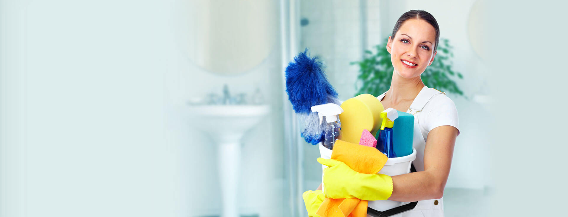Profesyonel Temizlik Hizmetleri